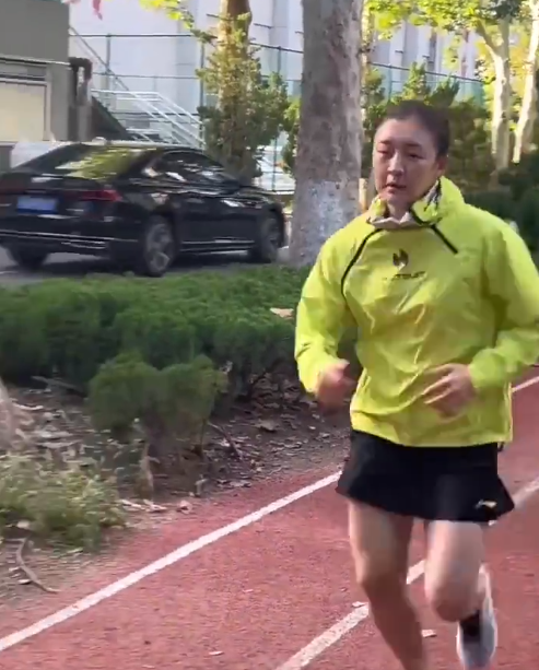 马龙来了, 马龙自去年 马龙来了, 马龙自去年