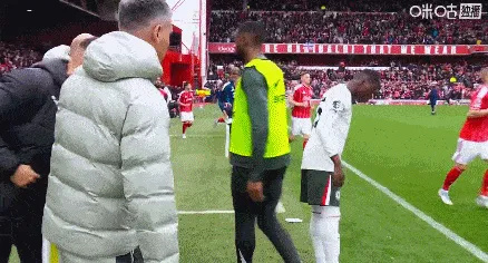 对切尔西来, RQeG